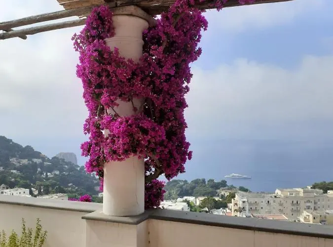 La Terrazza Tatil Evi Capri