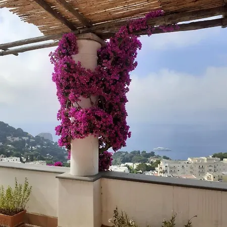 La Terrazza Holiday home Capri